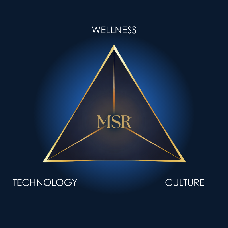 Technology · Wellness · Culture Triangular Diagram