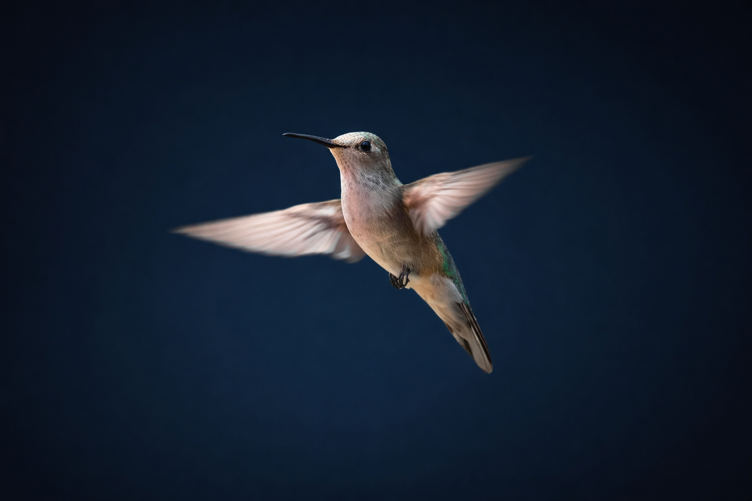 Founders & Leadership Teams Image